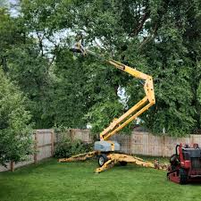 Best Grass Overseeding  in Sandersville, GA