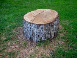 Best Emergency Tree Removal  in Sandersville, GA